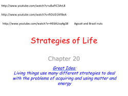 Strategies of Life