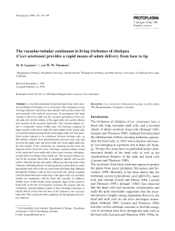 The vacuolar-tubular continuum in living trichomes of