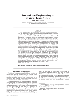 Toward the engineering of minimal living cells