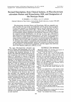 Revised Description, from Clinical Isolates, of FZauobacterium
