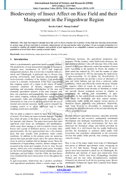 Biodeversity of Insect Affect on Rice Field and their Management in