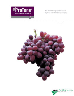 For Maximizing Production of High Quality Red Table Grapes