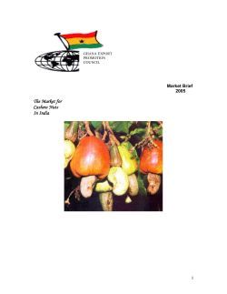 the market for cashew nuts in india