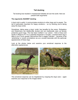 Tail docking - Publications for Vets