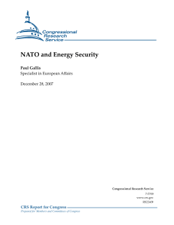 NATO and Energy Security