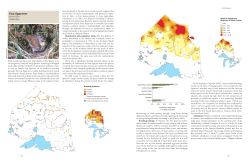 Fox Sparrow - Ontario Breeding Bird Atlas