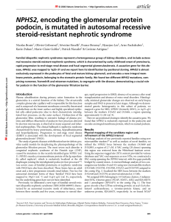 NPHS2, encoding the glomerular protein podocin, is mutated in