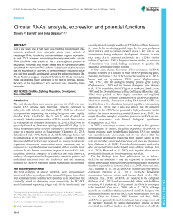 Circular RNAs: analysis, expression and potential