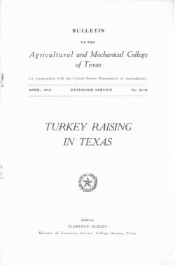 TURKEY RAISING IN TEXAS