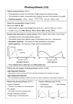Photosynthesis
