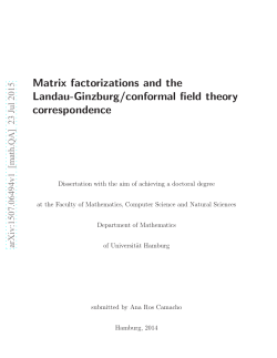 Matrix factorizations and the Landau-Ginzburg