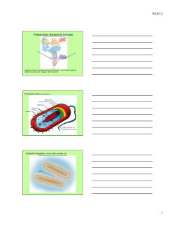 Prokaryotes - dewhozitz.net