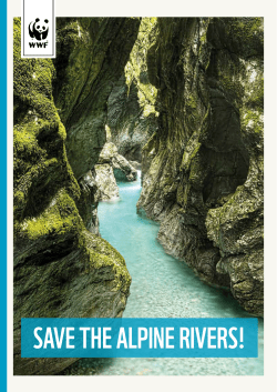 save the alpine rivers!