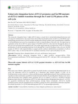 Eukaryotic elongation factor eEF1A1 promotes and Ser300 mutants
