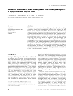 Molecular evolution of plant haemoglobin: two haemoglobin