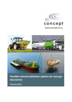Possible commercialisation options for new gas discoveries