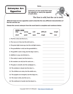 Antonyms Are Opposite