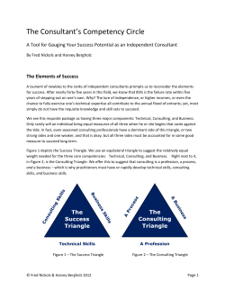 The Consultant`s Competency Circle