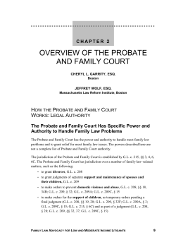 overview of the probate and family court