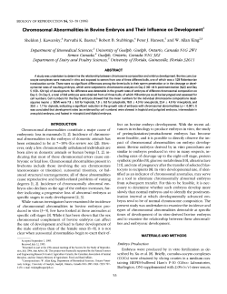 Chromosomal abnormalities in bovine