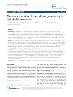 Massive expansion of the calpain gene family in unicellular eukaryotes
