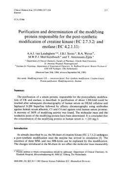 Purification and determination of the modifying protein responsible