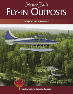 Grab Our Brochure - Nestor Falls Fly