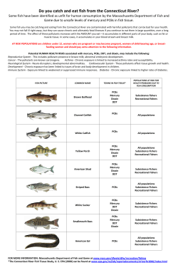 Do you catch and eat fish from the Connecticut River?
