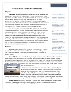 File - Understanding Who We Were