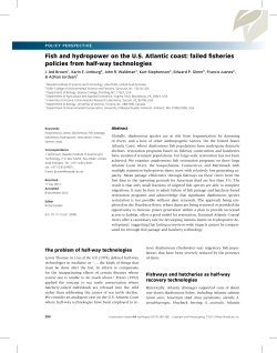 Fish and hydropower on the U.S. Atlantic coast: failed fisheries