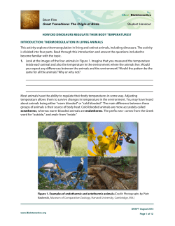 Student Handout Short Film Great Transitions: The Origin of