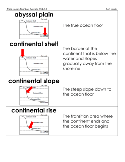 abyssal plain continental shelf continental slope continental rise