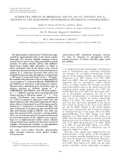 INTERACTIVE EFFECTS OF IRRADIANCE AND CO2 ON CO2