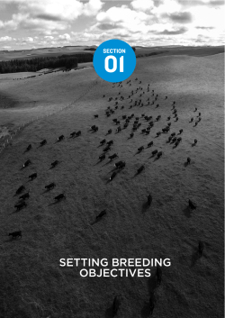 setting breeding objectives