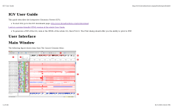 IGV User Guide User Interface Main Window