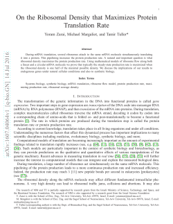On the Ribosomal Density that Maximizes Protein Translation Rate
