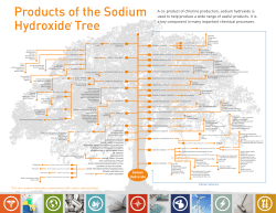 Sodium Hydroxide Product Tree