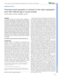 Premature dyad separation in meiosis II is the major