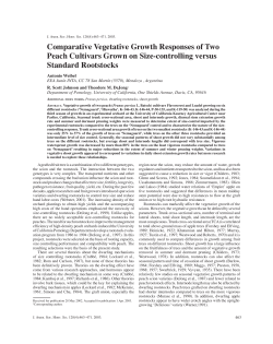 Comparative Vegetative Growth Responses of Two Peach Cultivars