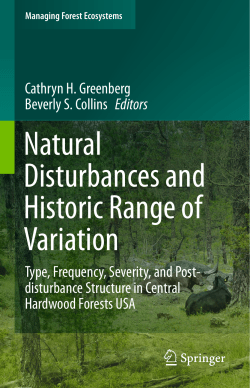 Fire as a Once-Dominant Disturbance Process in the Yellow Pine