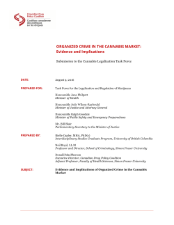 ORGANIZED CRIME IN THE CANNABIS MARKET