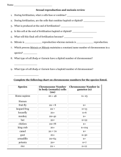 Meiosis and Mitosis Review