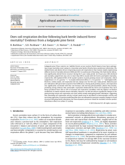 Does soil respiration decline following bark beetle induced forest