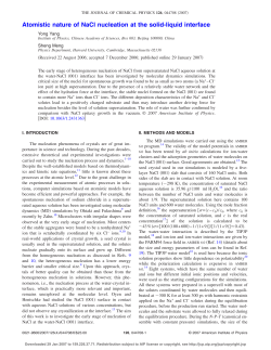 Atomistic nature of NaCl nucleation at the solid