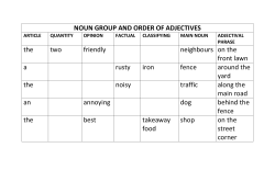 Noun group and order of adjectives (PDF 176.15 KB)