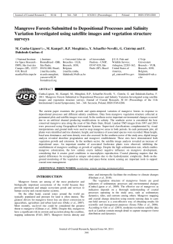 Mangrove Forests Submitted to Depositional Processes and