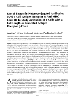 Anti-T Cell Antigen Receptor x Anti