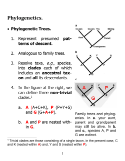 Phylogenetics. - Biology Learning Center