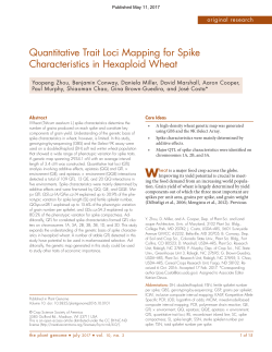 Quantitative Trait Loci Mapping for Spike Characteristics in