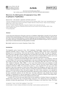 Preview - Magnolia press